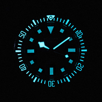 Seestern 430 Titanium Professional Diver (Seiko NH38 movement)